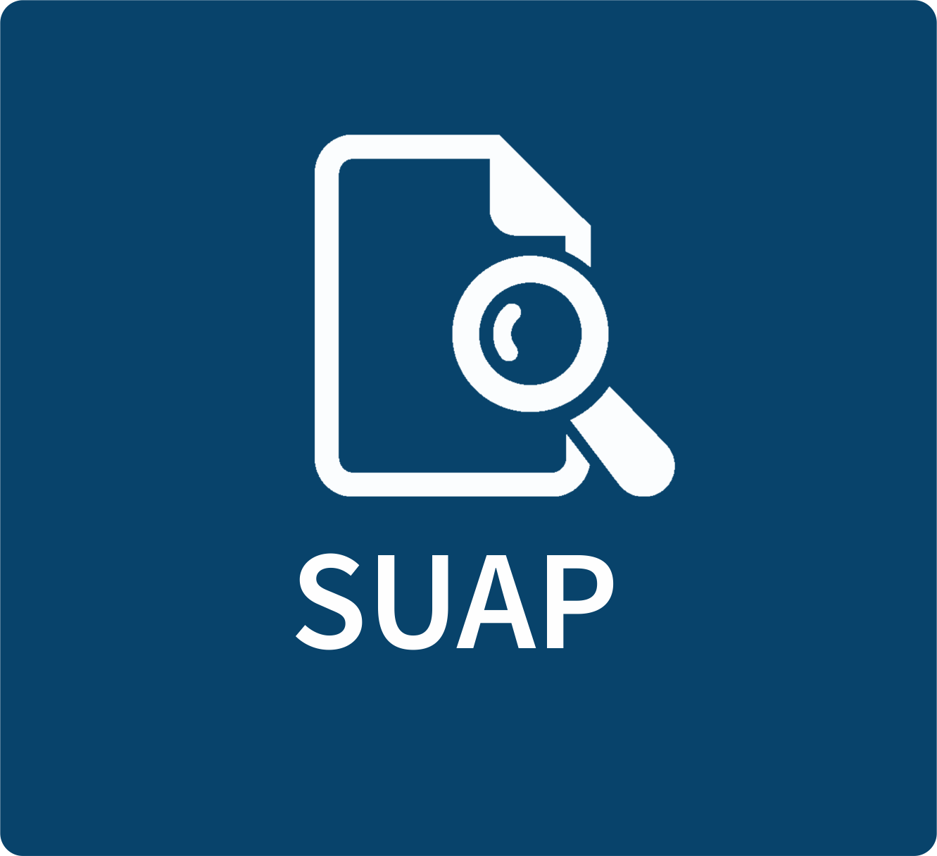 Consulta Suap