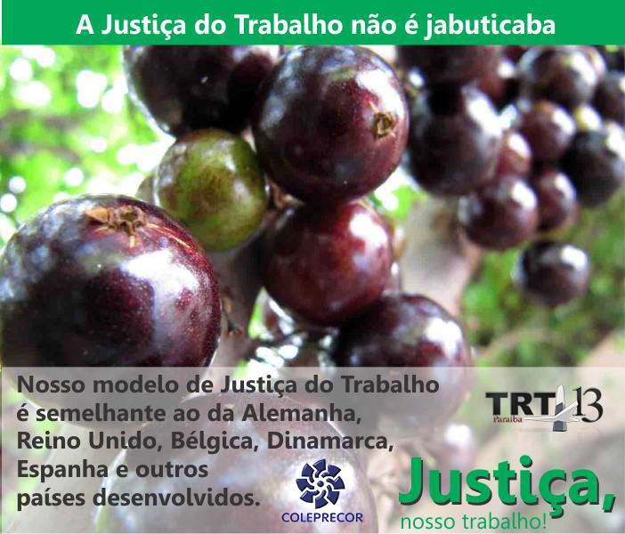 novo_justiça-nosso-trabalho8.jpg