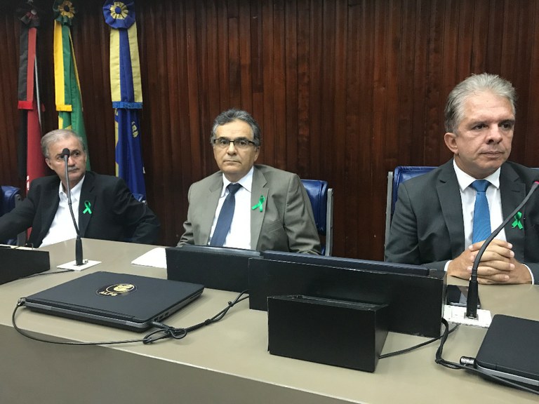 Abril Verde Audiência Pública AL (6).JPG