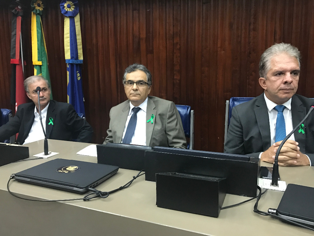 Abril Verde Audiência Pública AL (6).JPG