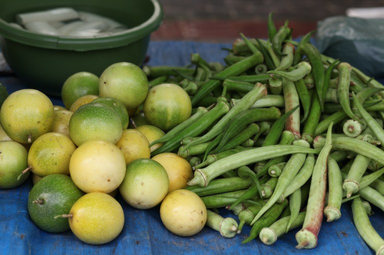 Feira Orgânica (23).JPG