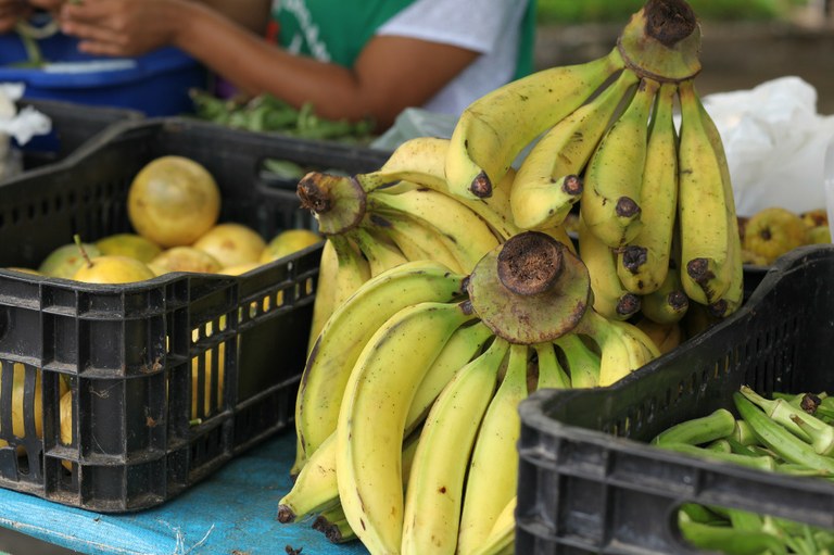 Feira Orgânica (30).JPG