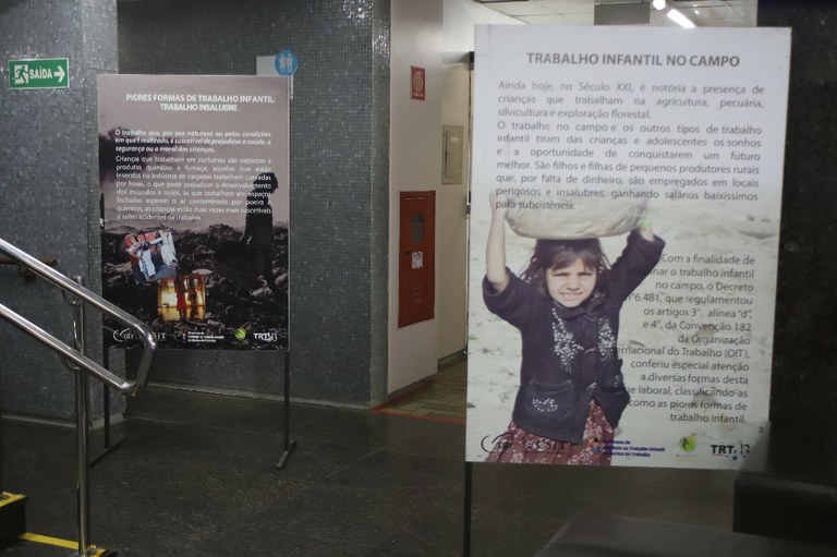 Trabalho Infantil (10) - Cópia - Cópia.JPG