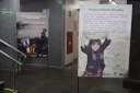 Trabalho Infantil (10) - Cópia - Cópia.JPG