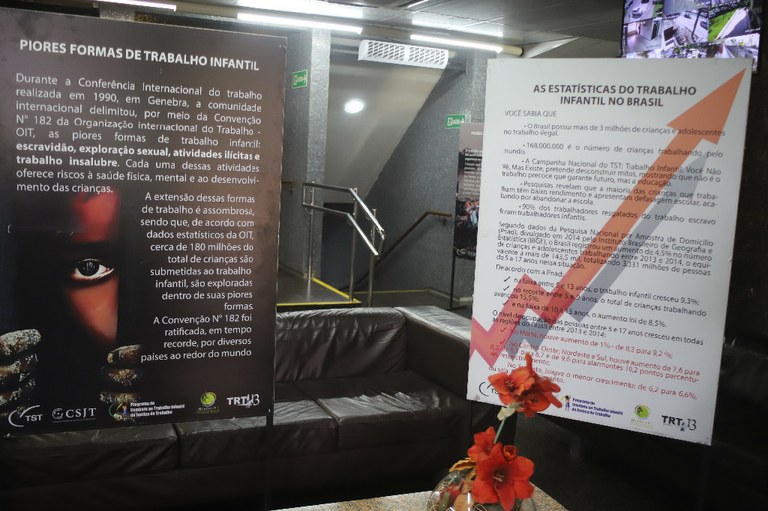 Trabalho Infantil (6) - Cópia - Cópia.JPG
