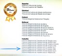 CNJ - Selo Ouro (9).JPEG