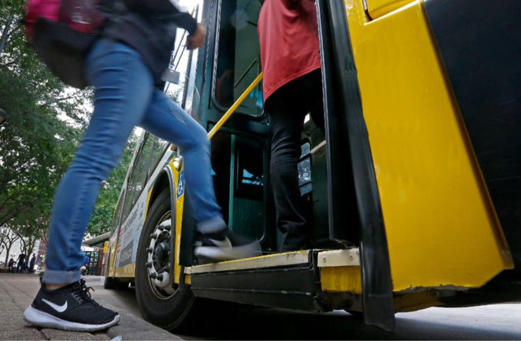 ônibus.jpeg