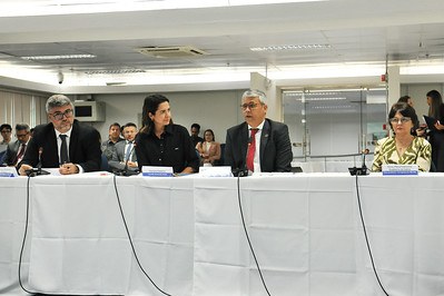 Ecolabora no CNJ (1).jpg