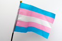 Bandeira Trans.png Bandeira Trans.png