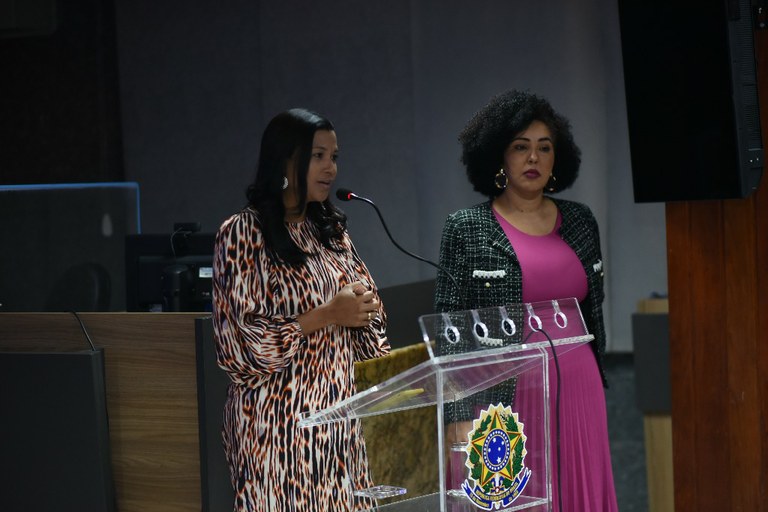 Emprega Margaridas Pleno 3.JPG